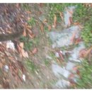 적중경로당 이미지