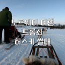 멍멍이 달린다 | 트롬쇠 허스키 썰매 | 북극 설원 감상