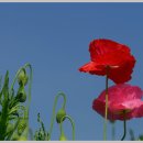 하늘아래첫집 이미지