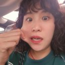 THE 메달리스트 복싱 GYM | [KICKING BUNNY]🥊키킹버니 ​복싱, 킥복싱 의류 &#39;BUNNY IN THE GYM&#39; ​🐰