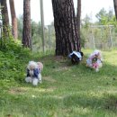 덕유산휴게소(하) 이미지