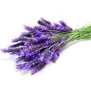 라벤더 이미지