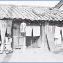 다찌노미 이미지