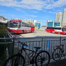 거창군시외버스터미널 | 목포에서 포항 터미널까지 고속버스타고 가기 (목포 종합버스시간표, 주차장, 쫀디기)