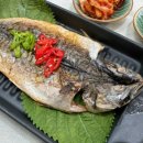 청년고등어 이미지