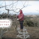 큰나무농장 이미지