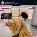 채원헤어룩