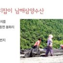 남해건어수산