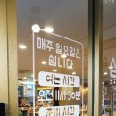 사파동300 이미지