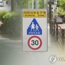 주정차단속-142 이미지