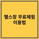 바디핏짐 | 헬스장 무료 체험 이용법｜1일 체험부터 3일권까지 똑똑하게 받는 팁