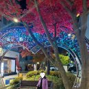 피노키오제과 | 청주 가볼만한곳 성안길 청주 용두사지 철당간 감상 후기