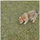 바다노을펜션 이미지