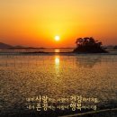 새론 Daum카페
