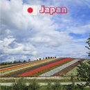 신비카 | 삿포로 신치토세 공항 렌트카 방법, 비용 및 후기