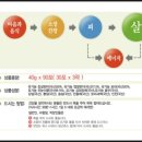 바보죽약국 이미지