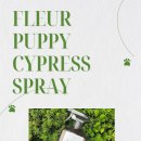 플레르퍼피 이미지