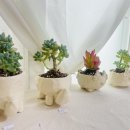 흙미술학원 이미지