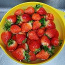 안델센과자점 이미지