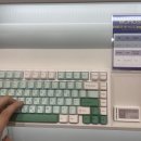 회사에서 쓰기 좋은 무접점 키보드ㅣ 다나와1위 -COX CMF104 8K 무접점 다람쥐 색상 후기