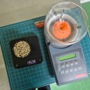 하스 | GSC 그린비너 13기 / 파젠다 엄 옐로우 버번 보인하스 다크룸 후기