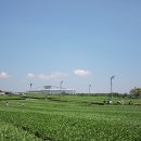구름의 길 픽쳐스 네이버블로그
