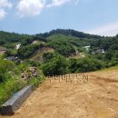 경기도 양평군 정배초등학교 이미지