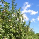 동산청송경로당 이미지