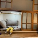 이달엔영월 스테이 이미지