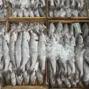 해풍수산백화점 Daum카페