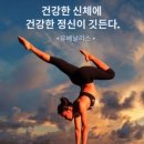 한국웰니스
