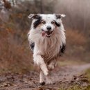 알라딘 골프스쿨 이미지