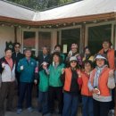 당진3동 이팝나무 이미지