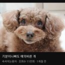 썸네일 - 사상구 | 썸네일