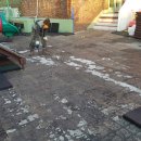 대청어린이집 이미지