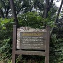 계룡산편백숲입구 이미지