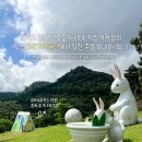 한국차박물관(소리문화공원) 이미지