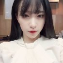 하니비디오 스포츠한국