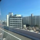 섬바위가든 | 이토시마 버스투어 반나절 코스 여행 하루하루투어 내돈내산 추천 찐후기! (소금푸딩, 부부바위, 팜비치)