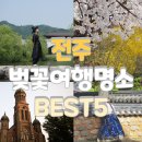 호수마을월드도서관 | 전주벚꽃 명소 여행 추천지 BEST 5 (feat. +@ 와 4월1일개화현황)