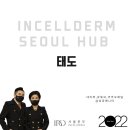 딩동매니아