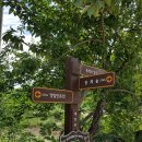 대송면 운제산등산로 이미지