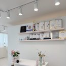 모다브로우 이미지