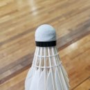 동탄 배드민턴장(나래울) 배드민턴장 | &lt;동탄&gt;나래울배드민턴장⏰사람없는시간 알려드림 ㅋ