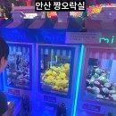 짱오락실 | 안산 중앙동 실내데이트 놀거리 추천 짱오락실 꿀잼 후기