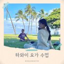 Hi,댕댕 | 하와이 이색 액티비티 요가 체험 에어비앤비