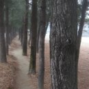 원주여자중학교 이미지