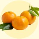 강창민농장 이미지