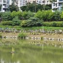 한숲물빛공원 이미지