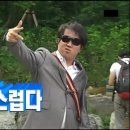 포인핏 이미지